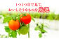 トマト とまと トマト フルーツトマト 野菜 人気 贈答 ギフト プレゼント