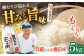  米 5kg ヒノヒカリ 米 5kg ひのひかり 米 5kg 人気No1 米 5kg ベテラン 米 5kg 米作り 米 5kg