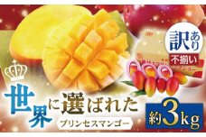 【訳あり】【心地よい至福の果肉感！】完熟プレミアム プリンセスマンゴー 不揃い3000g【堀内フルーツファーム】 [QAT015]