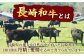 長崎和牛 赤身 切り落とし 1kg 牛肉 赤身 切り落とし 小分け あかみ 切り落とし 肉 長崎 牛肉 赤身