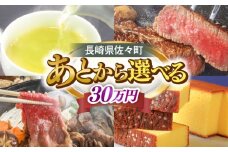 【あとから選べる】佐々町ふるさとギフト 30万円分 長崎県 佐々町 [QBT013]