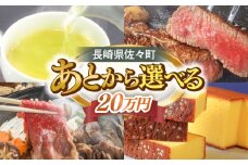 【あとから選べる】佐々町ふるさとギフト 20万円分 長崎県 佐々町 [QBT012]