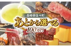 【あとから選べる】佐々町ふるさとギフト 100万円分 長崎県 佐々町 [QBT016]