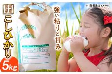 長崎県産こしひかり5kg【酒のタナカ】 [QAM018]