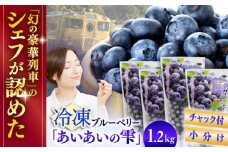 冷凍ブルーベリー「あいあいの雫」計1.2kg(300ｇ×4パック) 果物 ブルーベリー フルーツ 小分け 長崎 冷凍 ブルーベリー ぶるーべりー 国産【堀内フルーツファーム】[QAT017]
