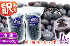 【訳あり】冷凍ブルーベリー 計1kg 果物 ブルーベリー フルーツ 小分け 熊本 冷凍 ブルーベリー 大粒 ぶるーべりー 国産【堀内フルーツファーム】 [QAT019]