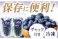 訳あり冷凍ブルーベリー 計1kg (約500g×2パック)