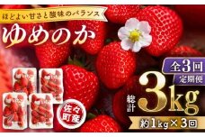 【発送月選択可能】【先行予約・全3回定期便・2,3,4月発送】佐々町産 いちご 「ゆめのか」約1.0kg （250g×4パック）/回 （総量計3.0kg）【市丸農園 いちご研究室】 [QBF003] / 長崎県 佐々町