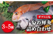 【朝どれピチピチの鮮魚をお届け！】旬の鮮魚 詰め合わせ セット 3～5種類【松園水産】 [RBO011]