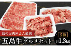 【色んな料理に♪幻の和牛のとろける旨味】 五島牛 グルメセット 牛肉 すき焼き しゃぶしゃぶ 切り落とし ステーキ 【ミートマーケットハラ】 [RBO015]