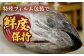 五島列島産 養殖 生本かみマグロ 赤身 中トロ 計約500g / マグロ まぐろ 鮪 刺身 ブロック