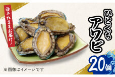 【小ぶりで料理に使いやすい！】 上五島産 養殖 ひとくち アワビ 活 厳選 20個 刺身 ステーキ 生 【豊建設株式会社】 [RAE001]