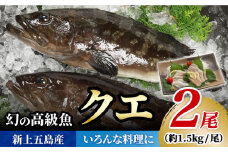 【幻の超高級魚をご家庭で】 養殖 クエ まるごと 1.5kg×2尾【豊建設株式会社】 [RAE003]