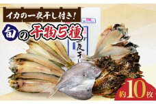【ごはんのおかずにも、晩酌のお供にも！】アオリイカ（水イカ）の一夜干しと 旬の干物 5種 セット 約10枚【有川町漁業協同組合】 [RAH001]