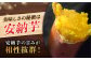 塩あんのうチーズケーキ 2ホール / 安納芋 スイーツ 冷凍 新上五島町
