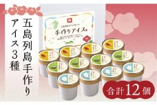 【最速発送】 【一年中美味しい！こだわりがつまった島のアイス☺】五島列島の素材を使用 手づくり アイス 3種 セット 計12個 アイス スイーツ バニラ 抹茶 かんころ 塩 椿油   【マルマス】 [RAX001] スピード発送 最短発送