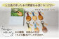 島の木のしずく キーホルダー / 木工品 手作り 新上五島町