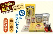 【多数の企業とコラボ実績あり】塩の楽しみ方が広がる塩コラボセット（塩、椿油、おつまみ燻製サバ、米粉かりんとう、塩プリン）【やがため】 [RBM006]