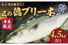 【年末配送！12/27～12/30着日指定必須】匠の徳ぶり 上五島産 （4.5kg以上） ぶり ブリ 鰤 ぶりしゃぶ しゃぶしゃぶ 刺身 鮮魚 海鮮 魚 五島 五島列島 上五島 長崎 国産 新鮮 養殖 冷蔵 鍋 海鮮鍋 贈答 年末 正月 年内配送 日付指定可能 日付指定 年内発送 年内配送  【徳丸】 [RAC001]