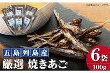 【上五島の伝統的な味をご家庭で】 五島列島産 厳選 焼きあご 100g×6袋【新魚目町漁業協同組合】 [RBC002]