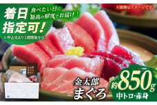 【最速発送】【数量限定！】【濃厚で脂があま～い！】金太郎 マグロ 冷凍 ブロック 中トロ 赤身 約850g【徳丸】 [RAC010] スピード発送 最短発送