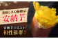 【全3回定期便】 塩あんのうチーズケーキ / 安納芋 スイーツ 冷凍 新上五島町
