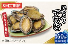 【全3回定期便】【活きたままお届け！】 上五島産 養殖 ひとくち アワビ 活 厳選 20個 刺身 ステーキ 生 【豊建設株式会社】 [RAE006]