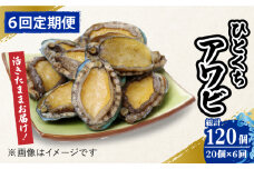 【全6回定期便】【活きたままお届け！】 上五島産 養殖 ひとくち アワビ 活 厳選 20個 刺身 ステーキ 生 【豊建設株式会社】 [RAE007]