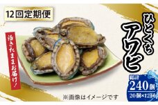 【全12回定期便】【活きたままお届け！】 上五島産 養殖 ひとくち アワビ 活 厳選 20個 刺身 ステーキ 生 【豊建設株式会社】 [RAE008]