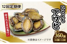 【全12回定期便】【活きたままお届け！】 上五島産 養殖 ひとくち アワビ 活 厳選 30個【豊建設株式会社】 [RAE011]