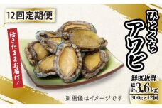 【全12回定期便】【活きたままお届け！】 上五島産 養殖 ひとくち アワビ 活 厳選 300g 刺身 ステーキ 生 【豊建設株式会社】 [RAE017]