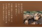 【全12回定期便】 本格芋焼酎 五島灘黒麹・明治之芋五島灘 2本セット 各720ml / 酒 芋焼酎 いも 五島灘 五島灘酒造