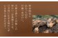 【全12回定期便】 本格芋焼酎 五島灘黒麹・明治之芋五島灘 2本セット 各1800ml / 酒 芋焼酎 いも 五島灘 五島灘酒造