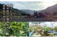 【全12回定期便】 本格芋焼酎 五島灘紅さつま・五島灘白麹・五島灘黒麹・明治之芋五島灘 4本セット 各1800ml