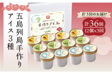 【全3回定期便】【一年中美味しい！こだわりがつまった島のアイス！】手づくり アイス 3種 セット 計12個【マルマス】 [RAX017]