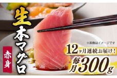 【全12回定期便】【ながさき水産業大賞受賞の新鮮なマグロを冷蔵でお届け！！】五島列島産 養殖 生本かみマグロ 赤身 300g マグロ まぐろ 鮪 刺身 ブロック 【カミティバリュー】 [RBP025]