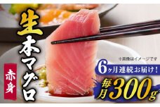 【全6回定期便】【ながさき水産業大賞受賞の新鮮なマグロを冷蔵でお届け！！】 五島列島産 養殖 生本かみマグロ 赤身 300g マグロ まぐろ 鮪 刺身 ブロック 【カミティバリュー】 [RBP024]
