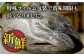 【全6回定期便】 五島列島産 養殖 生本かみマグロ 赤身 300g / まぐろ 鮪 刺身 ブロック