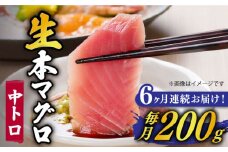 【全6回定期便】【ながさき水産業大賞受賞の新鮮なマグロを冷蔵でお届け！！】 五島列島産 養殖 生本かみマグロ 中トロ 200g マグロ まぐろ 鮪 刺身 ブロック 【カミティバリュー】 [RBP027]