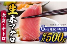 【全6回定期便】【ながさき水産業大賞受賞の新鮮なマグロを冷蔵でお届け！！】五島列島産 養殖 生本かみマグロ 赤身 中トロ 計約500g マグロ まぐろ 鮪 刺身 ブロック 【カミティバリュー】 [RBP030]