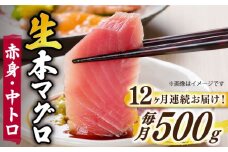【全12回定期便】【ながさき水産業大賞受賞の新鮮なマグロを冷蔵でお届け！！】五島列島産 養殖 生本かみマグロ 赤身 中トロ 計約500g マグロ まぐろ 鮪 刺身 ブロック 【カミティバリュー】 [RBP031]