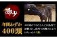 【全12回定期便】五島牛 ローススライス 約500g / 牛肉 和牛 長崎和牛