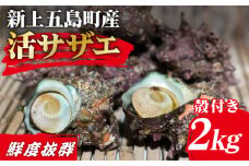 【その日に獲れたものをその日に発送！】 鮮度抜群 新上五島町産 活サザエ 殻付き2kg【ひまわり】 [RBK001]