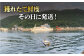 鮮度抜群 新上五島町産 活サザエ 殻付き2kg / 貝 魚介 海鮮 海産物 新上五島