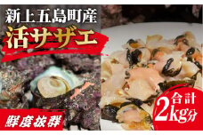 【その日に獲れたものをその日に発送！】 鮮度抜群 新上五島町産 活サザエ 殻付き1kg+殻付き1kg分のスライス【ひまわり】 [RBK002]