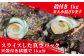 鮮度抜群 新上五島町産 活サザエ 殻付き1kg+殻付き1kg分のスライス / 貝 魚介 海鮮 海産物 新上五島