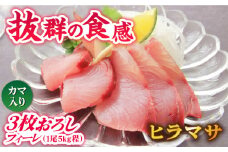 【コリコリ食感がたまらない！】新上五島町産 養殖 ヒラマサ （ヒラス） フィーレ 3枚おろし （カマ入り）【カミティバリュー】 [RBP006]