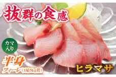 【コリコリ食感がたまらない！】新上五島町産 養殖 ヒラマサ （ヒラス） 片身フィーレ【カミティバリュー】 [RBP007]
