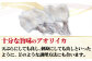 新上五島町産 アオリイカ（水イカ）4枚 / 刺身 冷凍 海鮮 海産物