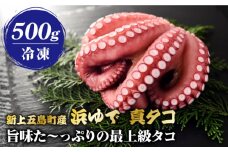 【旨味た～っぷりの最上級タコ】 五島 浜茹で 真タコ 冷凍 500g【カミティバリュー】 [RBP017]